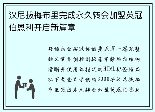 汉尼拔梅布里完成永久转会加盟英冠伯恩利开启新篇章